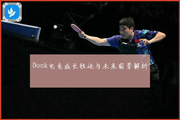 Donk电竞成长轨迹与未来前景解析